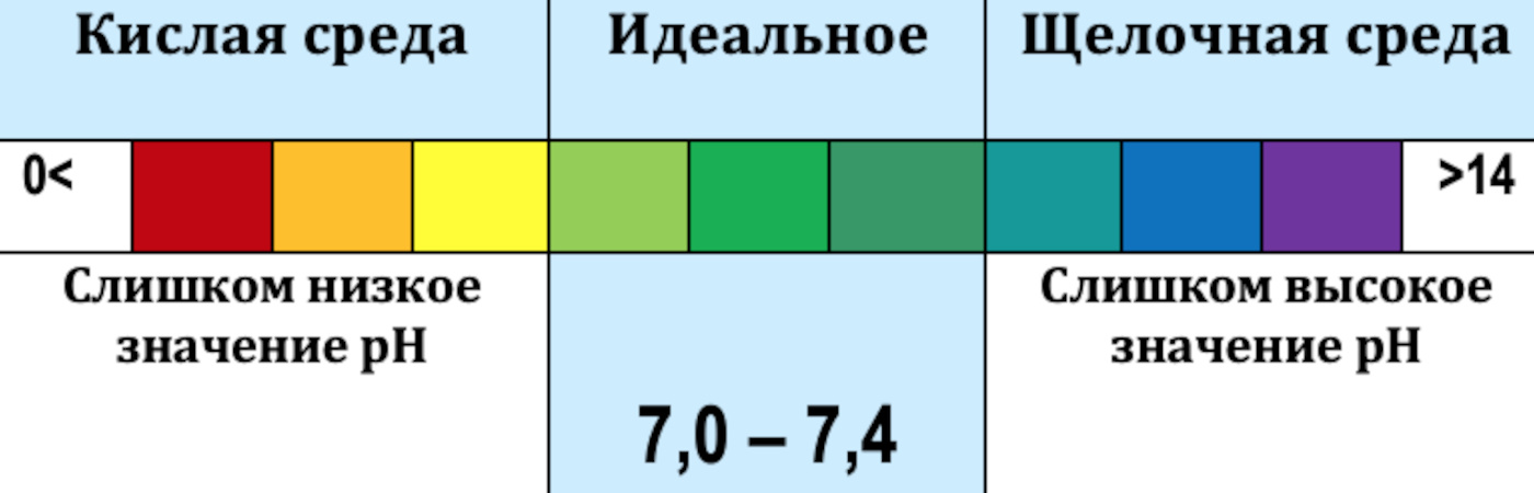 53488_02.jpg 53488_02.jpg
